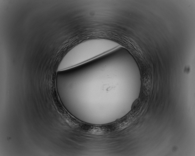 X0000100930416200806241143