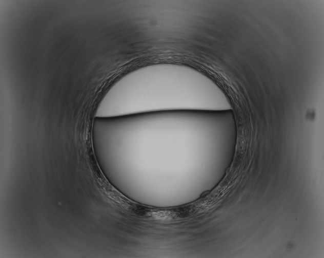 X0000100930417200806241143