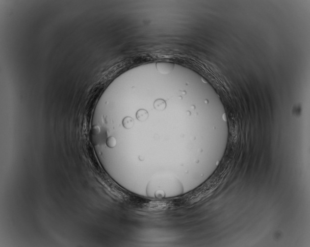 X0000100930418200806241143