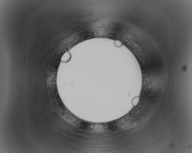 X0000100930419200806241143