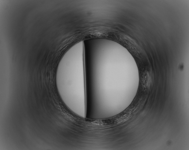 X0000100930420200806241143