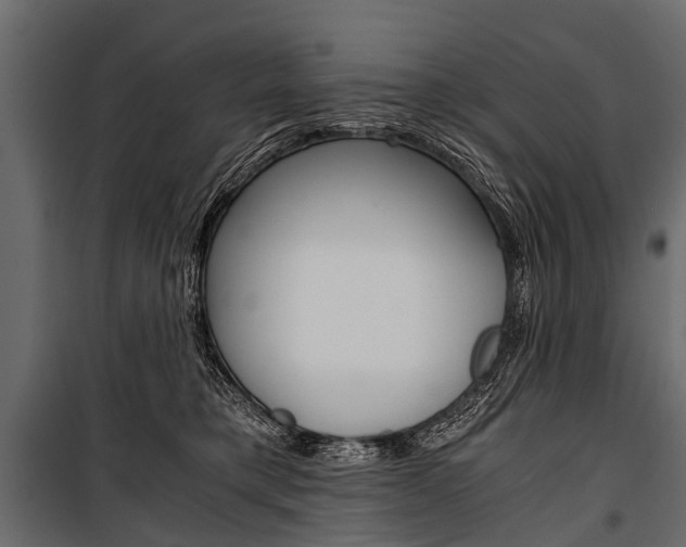 X0000100930421200806241143