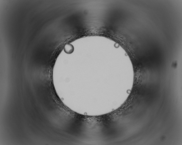 X0000100930423200806241143