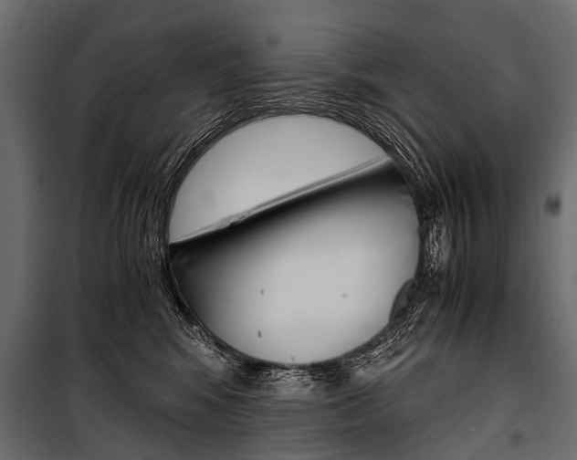 X0000100930424200806241143