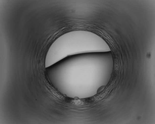 X0000100930425200806241143