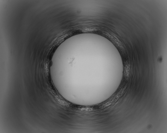 X0000100930426200806241143