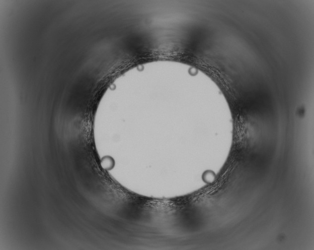 X0000100930427200806241143