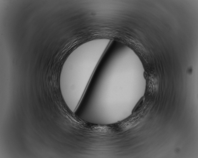 X0000100930428200806241143