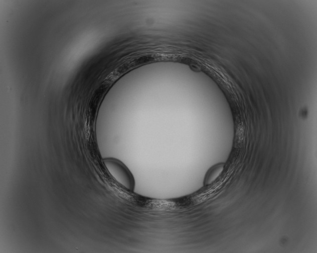 X0000100930429200806241143