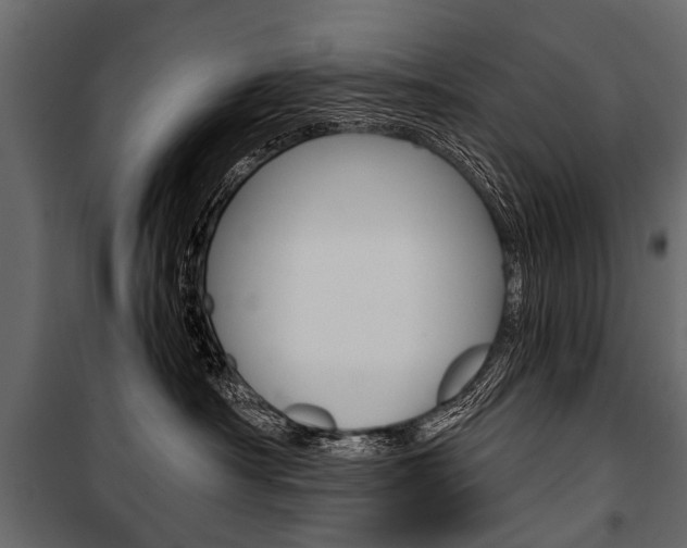 X0000100930430200806241143