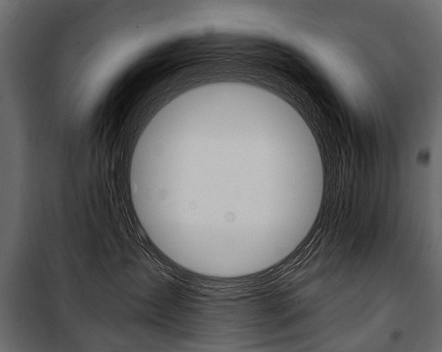 X0000100930431200806241143