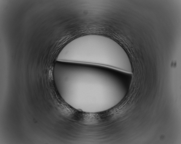 X0000100930432200806241143