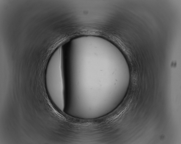 X0000100930433200806241142