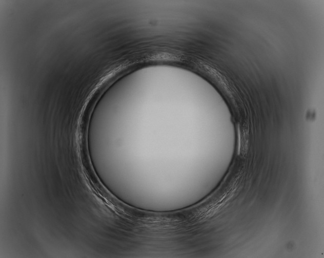 X0000100930435200806241142