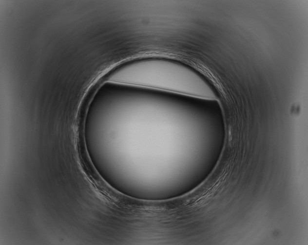 X0000100930436200806241142