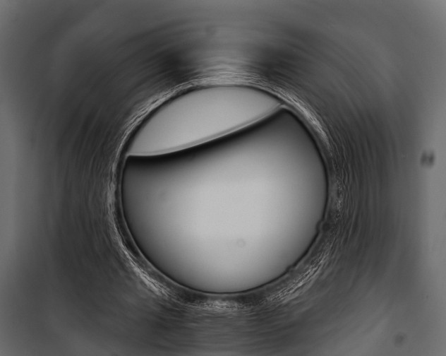 X0000100930437200806241142