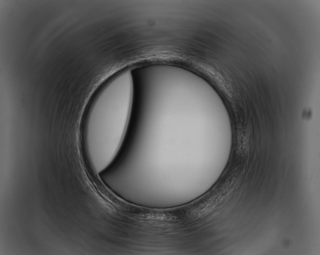 X0000100930439200806241142