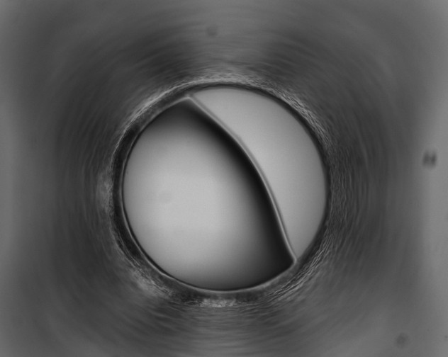 X0000100930440200806241142