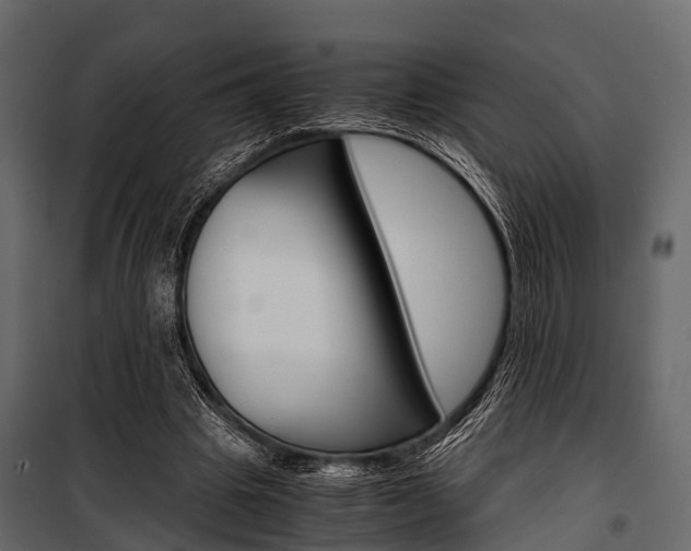 X0000100930441200806241142