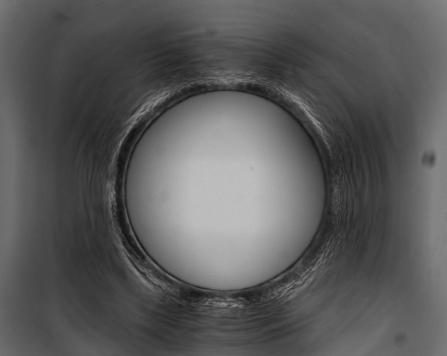 X0000100930443200806241142