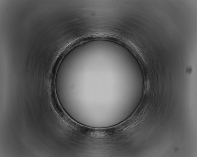 X0000100930444200806241142