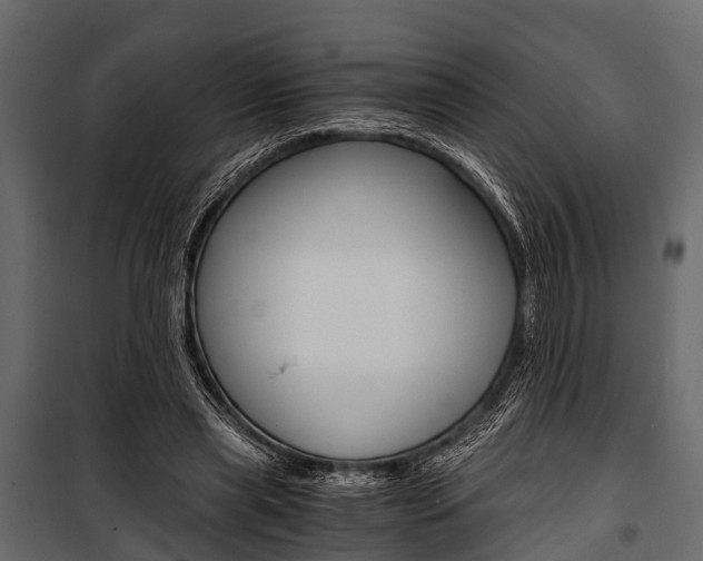 X0000100930445200806241142