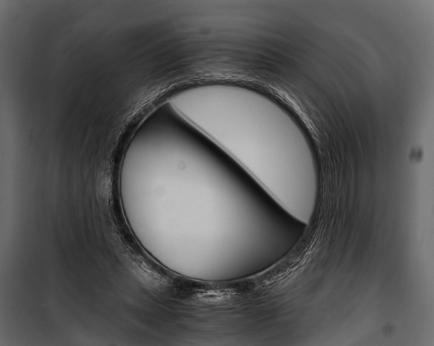 X0000100930447200806241142