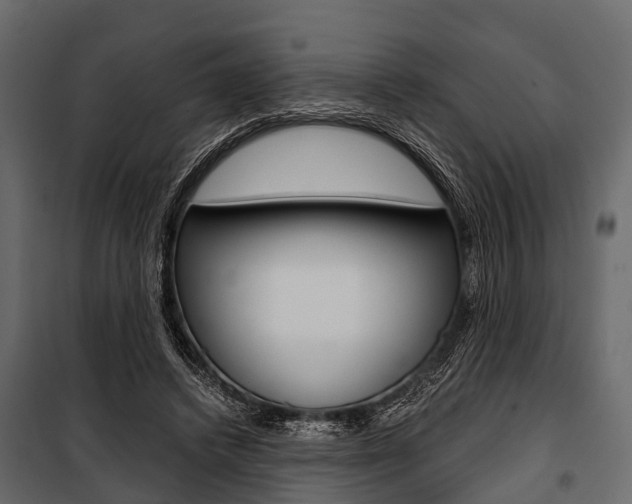 X0000100930448200806241142