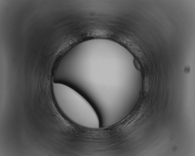 X0000100930449200806241142