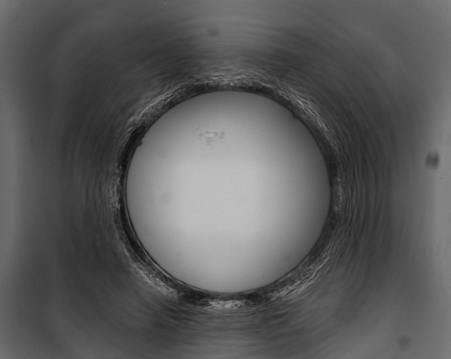 X0000100930450200806241142