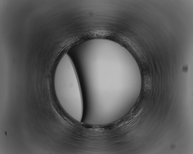 X0000100930451200806241142