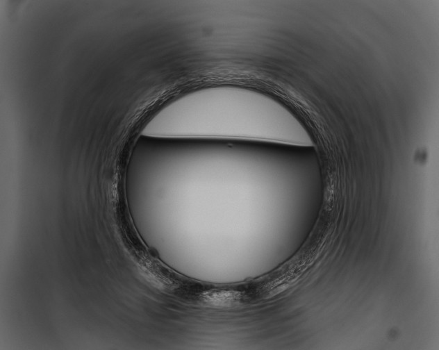 X0000100930452200806241142