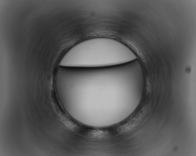 X0000100930453200806241142