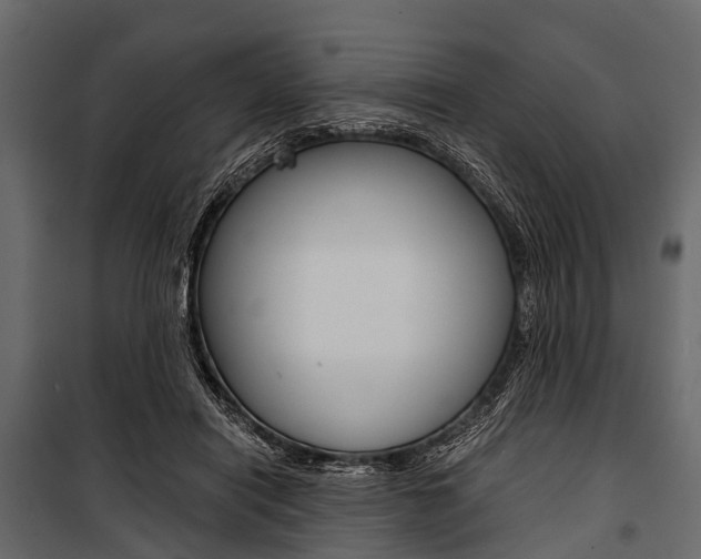 X0000100930454200806241142