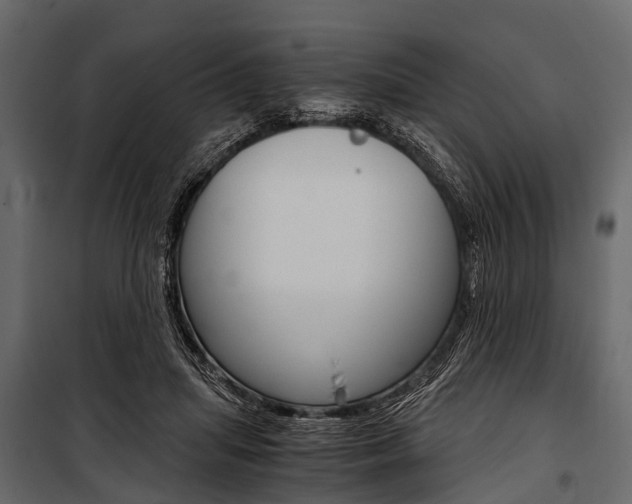 X0000100930455200806241142