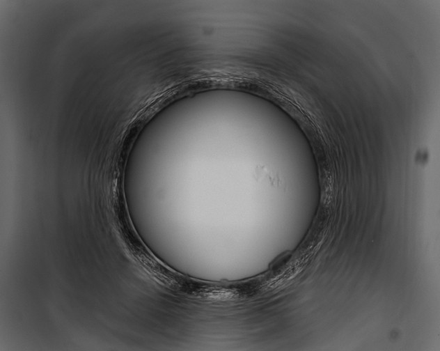 X0000100930456200806241142