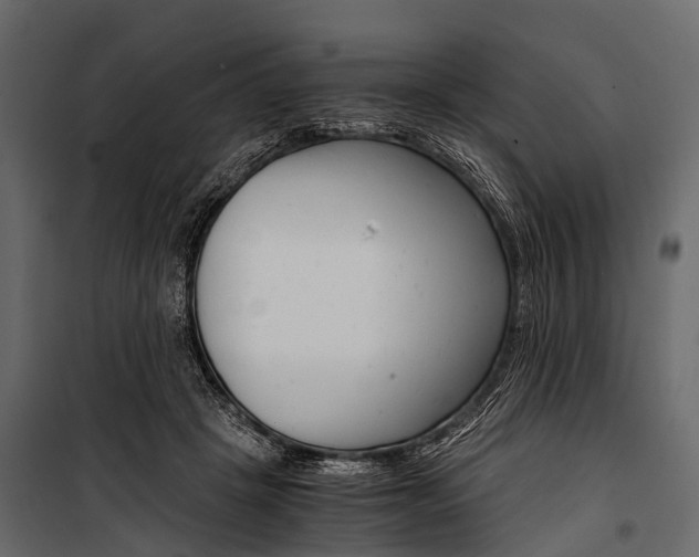 X0000100930457200806241142