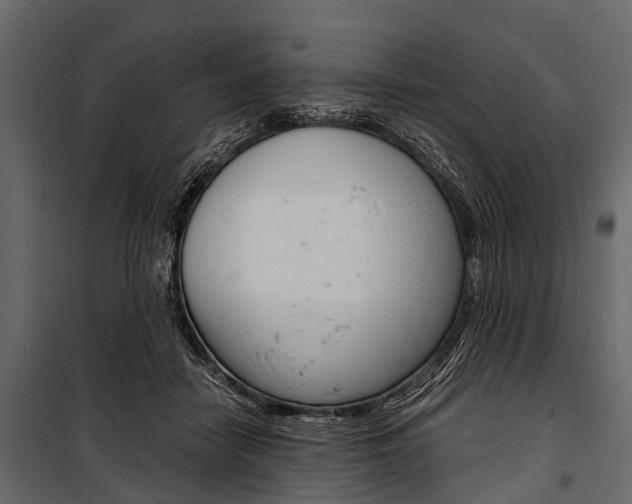 X0000100930458200806241142