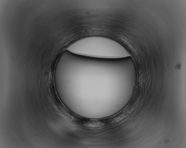 X0000100930459200806241142