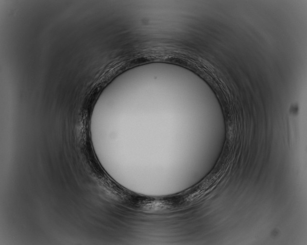 X0000100930460200806241142