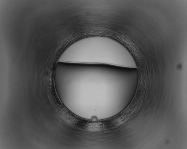 X0000100930461200806241142