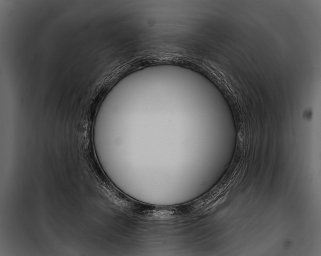 X0000100930462200806241142