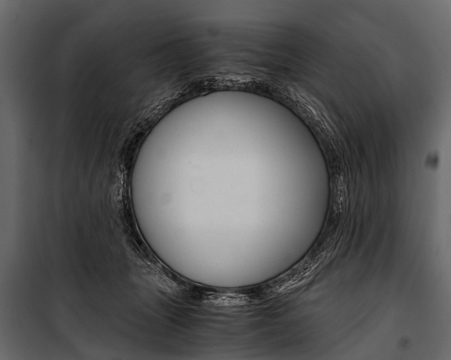 X0000100930463200806241142