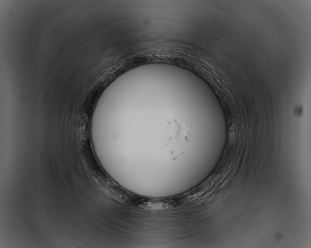 X0000100930464200806241142