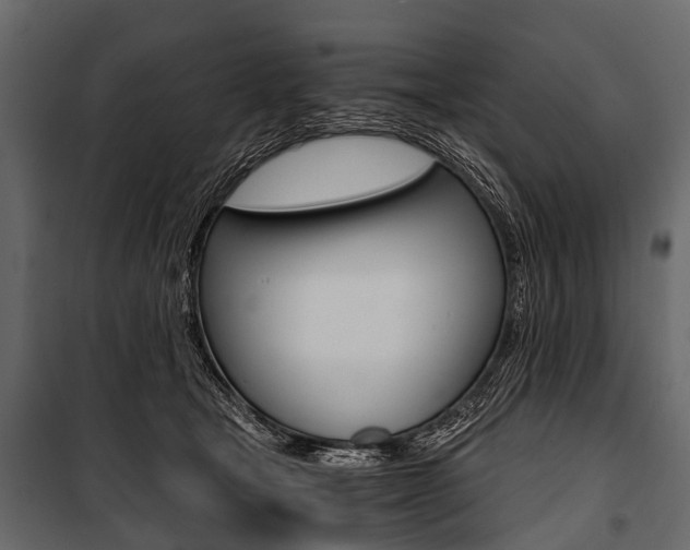 X0000100930465200806241142