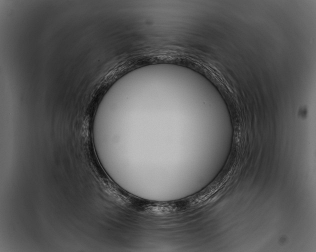 X0000100930466200806241142