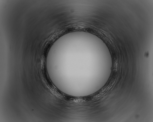 X0000100930468200806241142