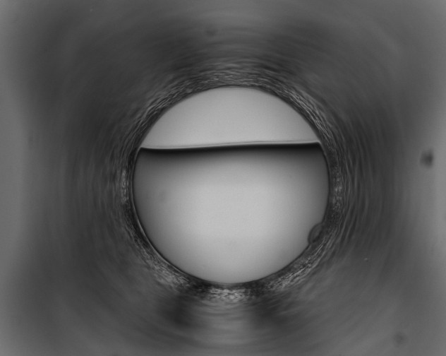 X0000100930469200806241142