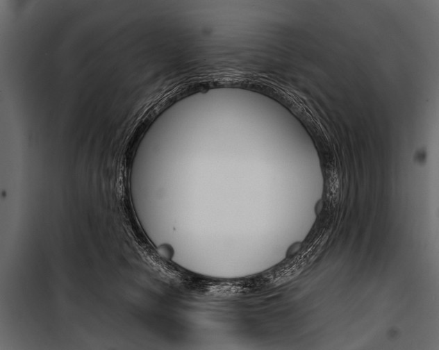 X0000100930470200806241142