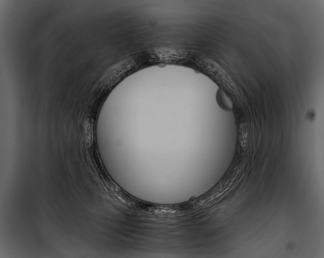 X0000100930471200806241142